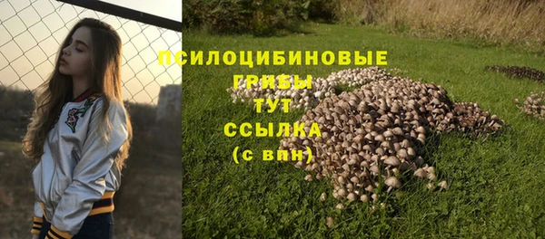 дурь Алексин