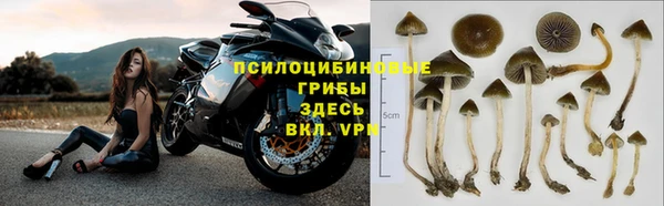 дурь Алексин