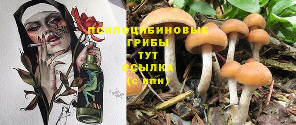 дурь Алексин