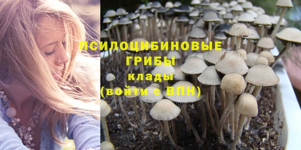 дурь Алексин