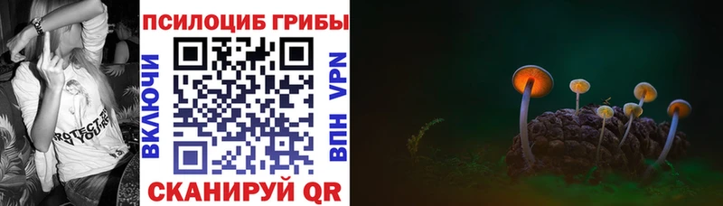 цены   OMG зеркало  Галлюциногенные грибы Psilocybine cubensis  Боровск 